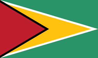 Guyana flag