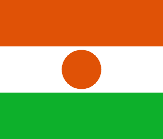 Niger flag