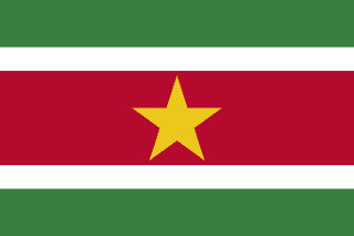 Suriname flag